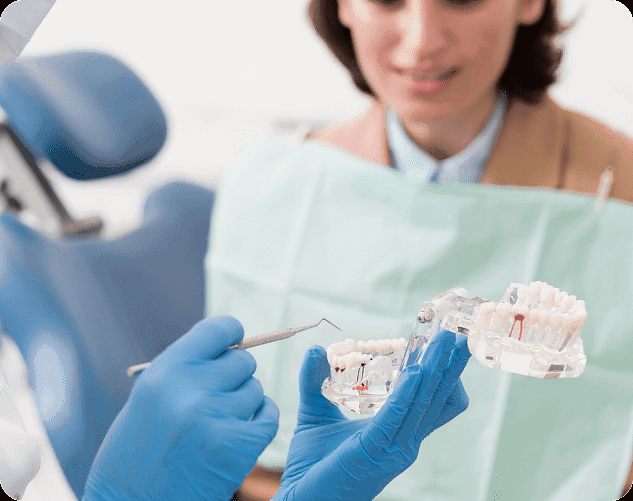 At Holt Orthodontics in Twinsburg, OH, a dentist demonstrates dental care and jaw surgery to a patient with a model and tool in a clinical setting.